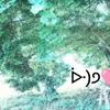 夜ノ森ひかる