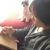 ハンドメイドサポーターうっちぃ
