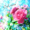 Ciel rose