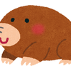 伊櫻　セイ