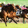 マッキーの穴馬厳選！！