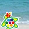 rainbowbeach