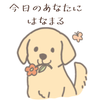 omochinomi08