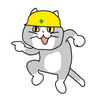 Kotaro_dao