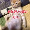蓮水 雫