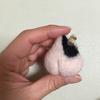 めぐらいあん