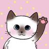 melco cat