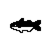 青魚マキ