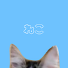 塩河 猫
