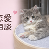 てと　恋愛相談