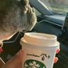 正社員 週4勤務 ありす