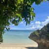 yocco_888