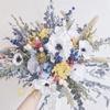 ありさ09