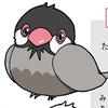 すずね0809