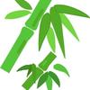 BambooWorks