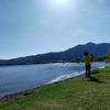 湖畔のとびうお