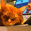 itcat