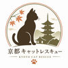 京都キャットレスキュー