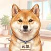 柴犬元気