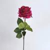 LaLaの人生トリセツ 開運ナビ