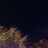 ハナ〈悩み相談〉