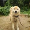 9回裏２死満塁一打サヨナラ23