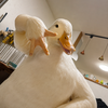 がじゅ。