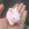 ぴんくのうさみみ