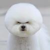まろこんぶ