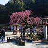 shinjikun