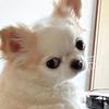 さぁぽん