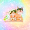 いのうえ あおい