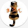 さび猫まろん