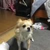 村井 順子