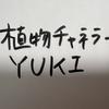 植物チャネラーYUKI
