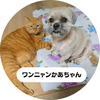 ワンニャンかあちゃん