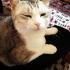 まきママの帰り道の雑談