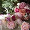 flower salon riche