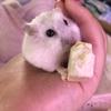 yuyuyuchan0609