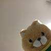 せつせつ