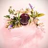 癒香の森　紫音　Shion