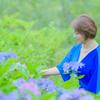 こたてんてん