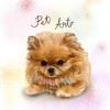 PeT ArT