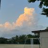 Skywolf
