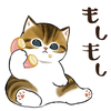 めぐたろandぴぴまる