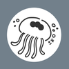 110_web_design
