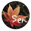 Sen（デザイナー）