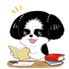 chitosen