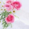 れいな｜恋愛・人間関係♡専門カウンセラー