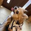chacha0304